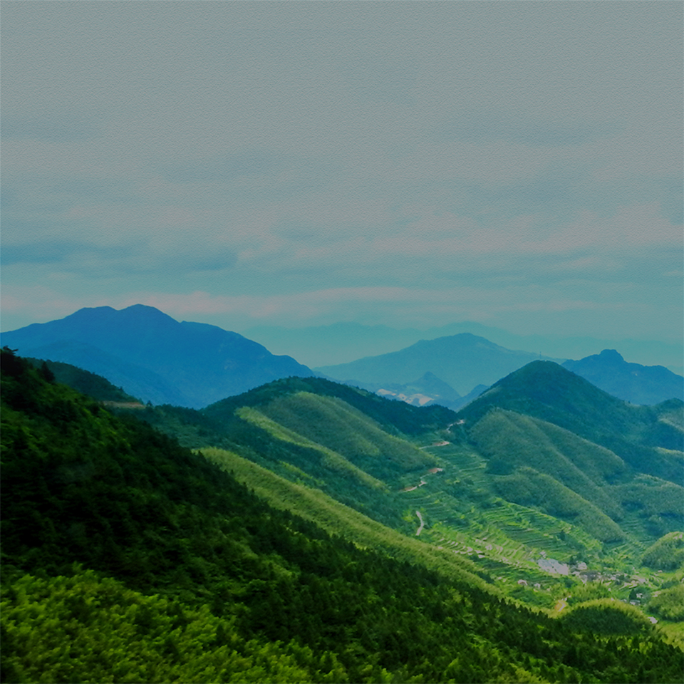 科技型企業(yè)